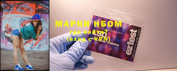 бошки Алексин