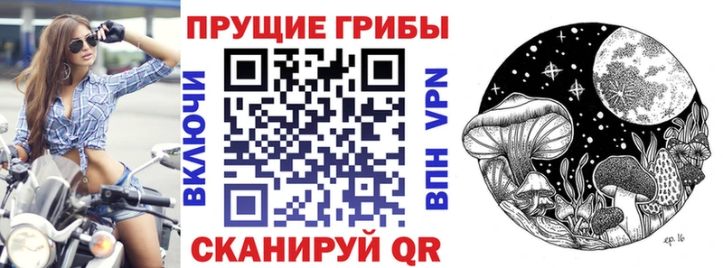Псилоцибиновые грибы ЛСД  Лагань 